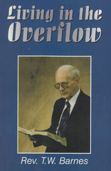 Living in the Overflow Book Cover