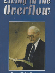 Living in the Overflow Book Cover